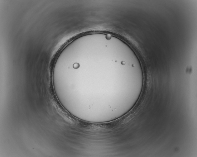 X0000114391270200911061507