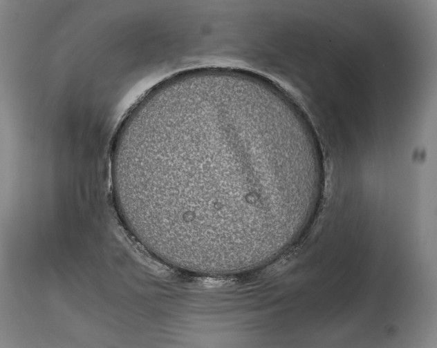 X0000114391271200911061507