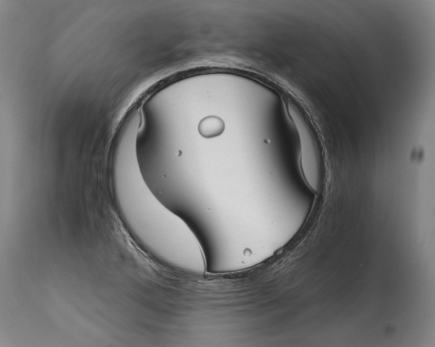 X0000114391272200911061507