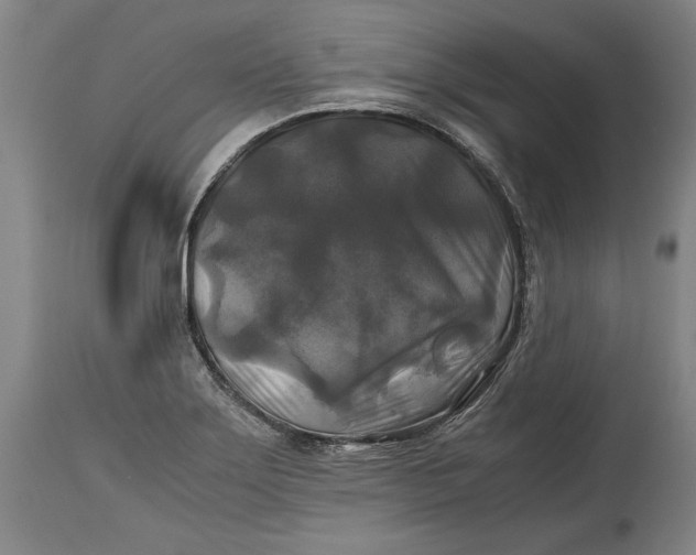 X0000114391275200911061506