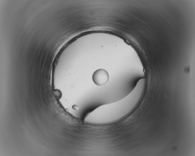 X0000114391276200911061506