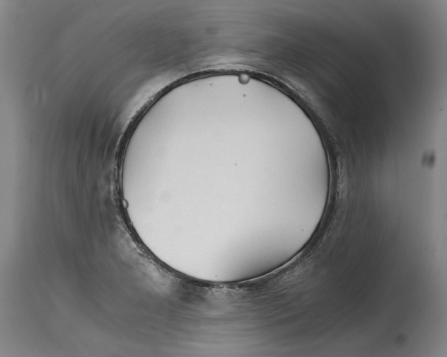 X0000114391277200911061506