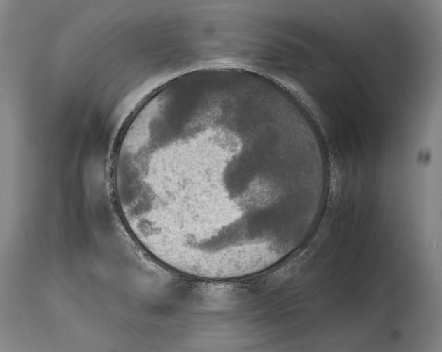 X0000114391278200911061506