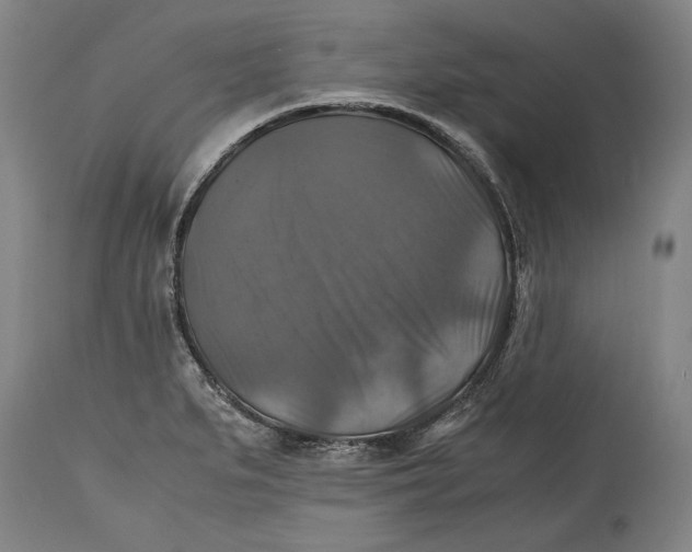 X0000114391279200911061506