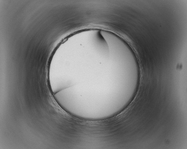 X0000114391280200911061506