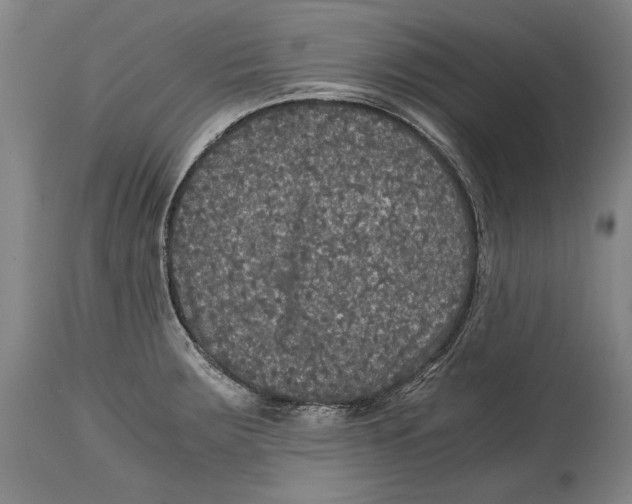 X0000114391283200911061506