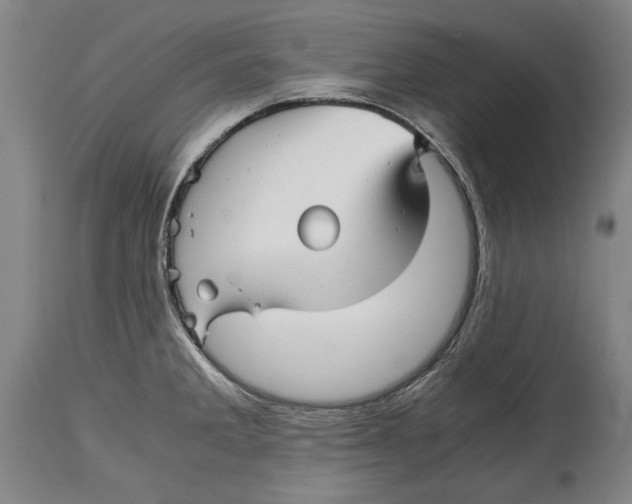 X0000114391285200911061506