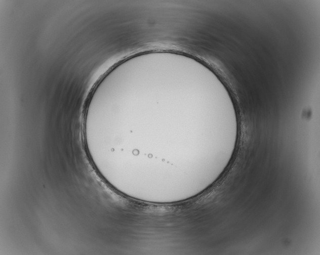 X0000114391286200911061506