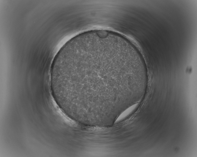 X0000114391287200911061506