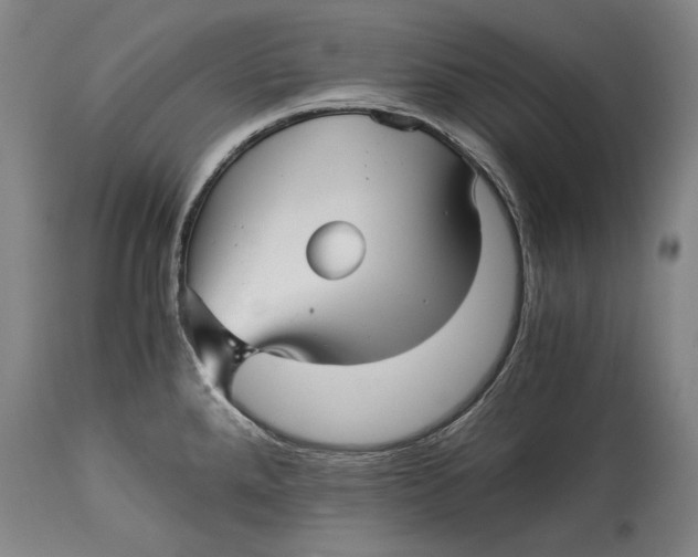 X0000114391288200911061506