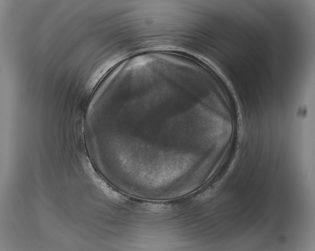 X0000114391289200911061506
