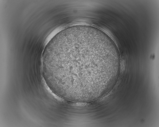X0000114391290200911061506