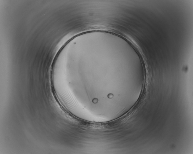 X0000114391291200911061506