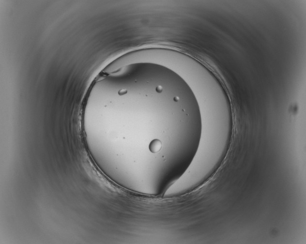 X0000114391292200911061506