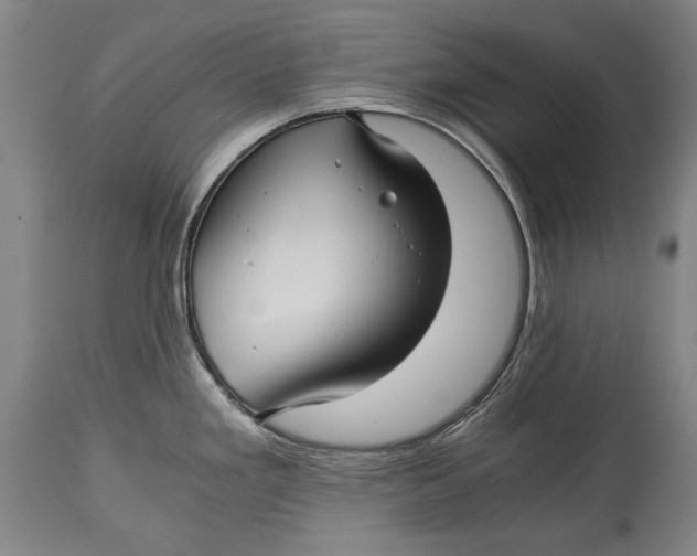 X0000114391293200911061506