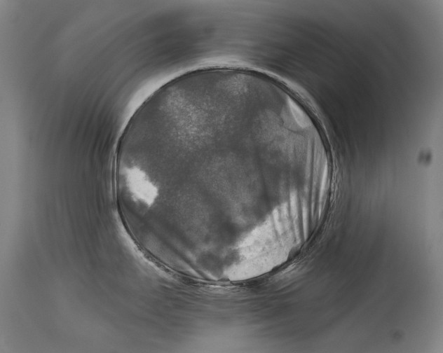 X0000114391295200911061506