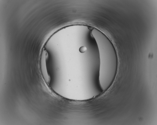 X0000114391296200911061506