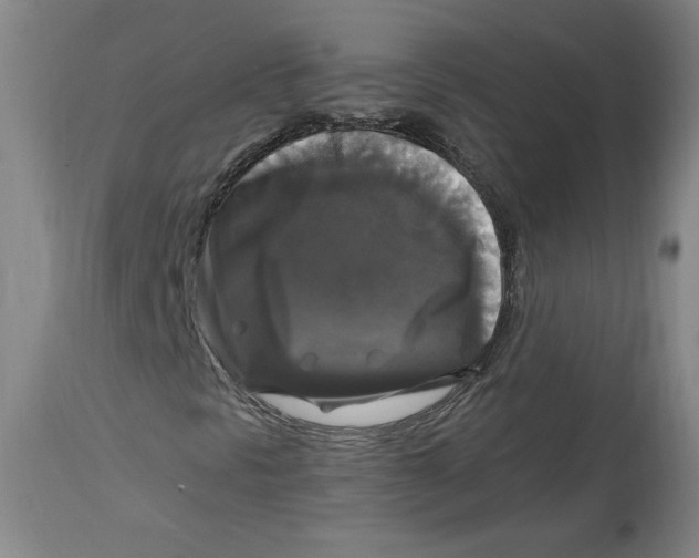 X0000114391297200911061505