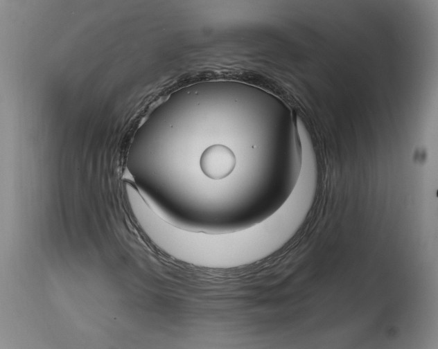 X0000114391298200911061505