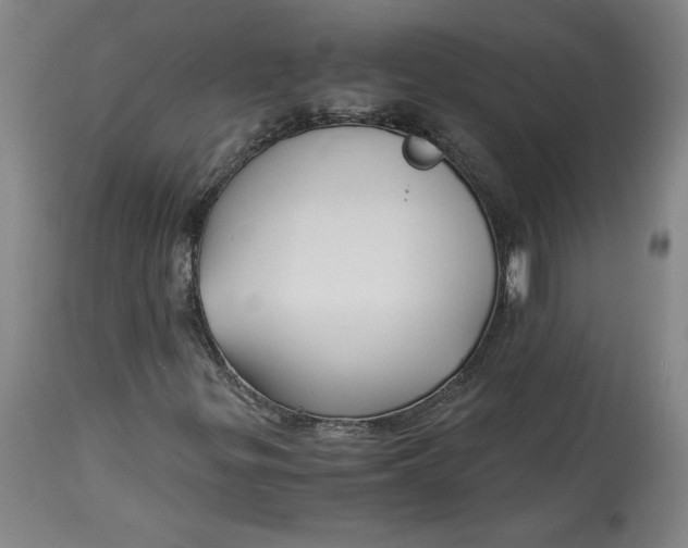 X0000114391299200911061505