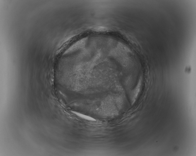 X0000114391301200911061505