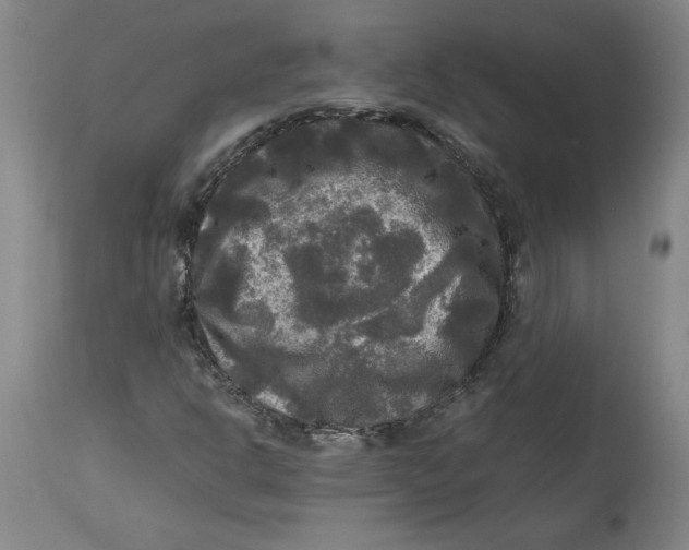 X0000114391302200911061505