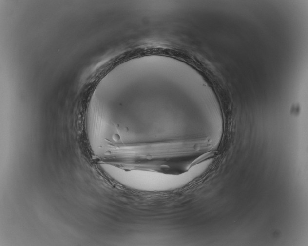 X0000114391303200911061505