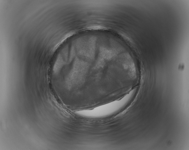 X0000114391305200911061505