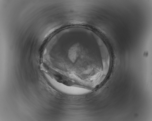 X0000114391306200911061505