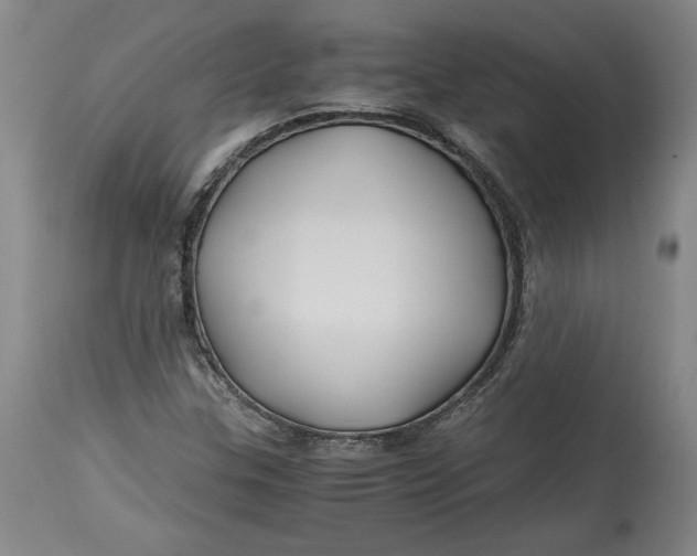 X0000114391307200911061505
