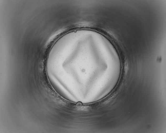 X0000114391309200911061506