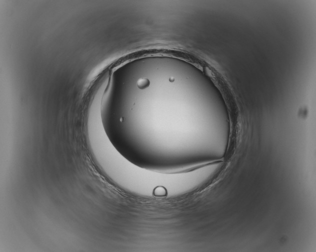 X0000114391310200911061506