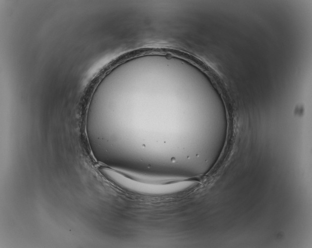 X0000114391311200911061506