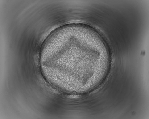 X0000114391313200911061506