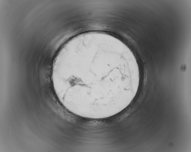 X0000114391314200911061506