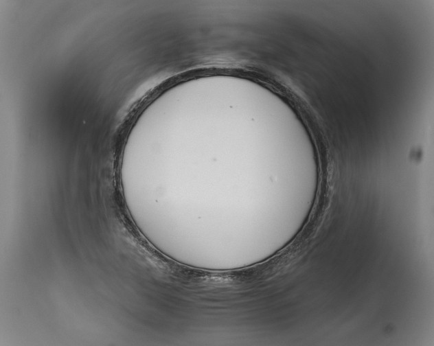 X0000114391315200911061506