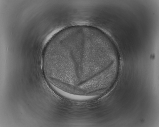 X0000114391317200911061506