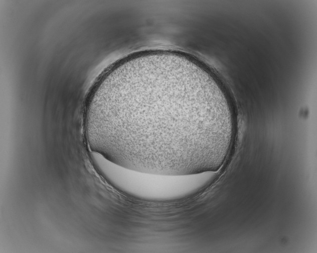 X0000114391318200911061506