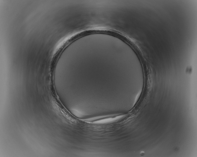 X0000114391319200911061506