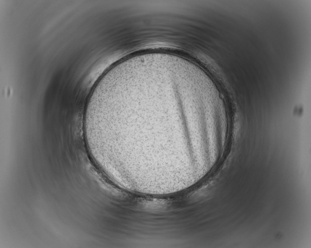 X0000114391321200911061506