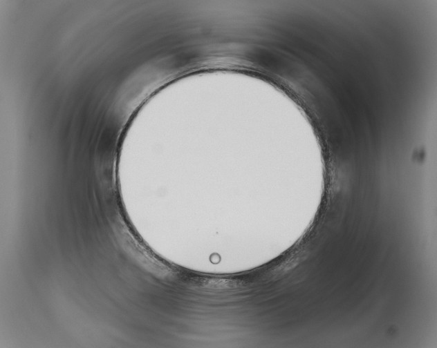 X0000114391322200911061506