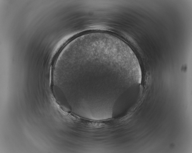 X0000114391323200911061506