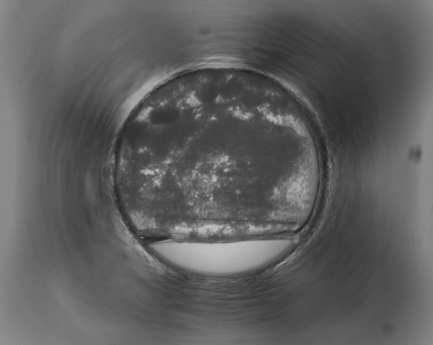 X0000114391325200911061506