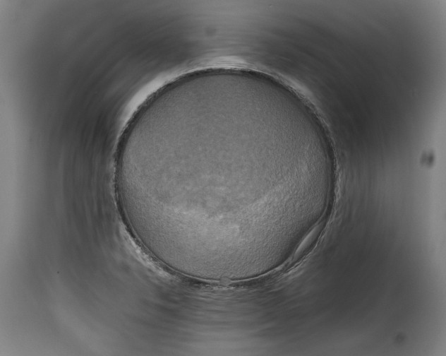 X0000114391326200911061506