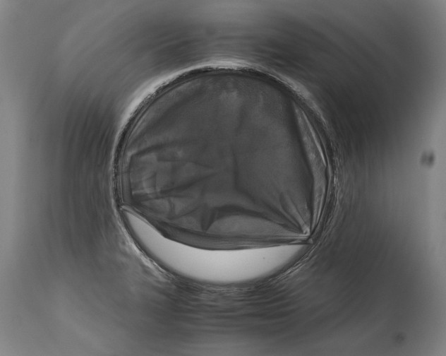 X0000114391327200911061506
