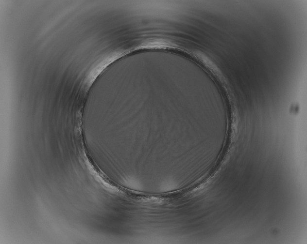 X0000114391329200911061506