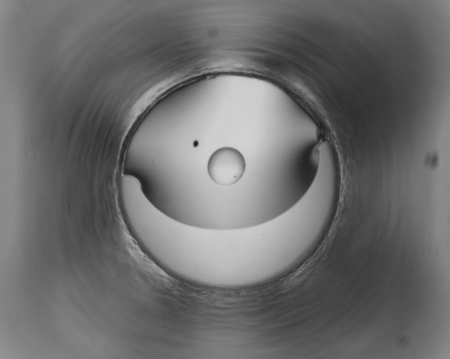 X0000114391330200911061506