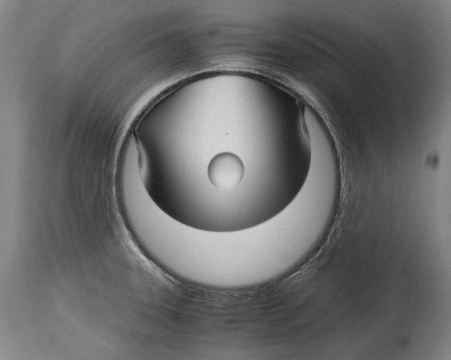 X0000114391331200911061506