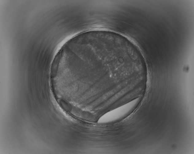X0000114391333200911061506