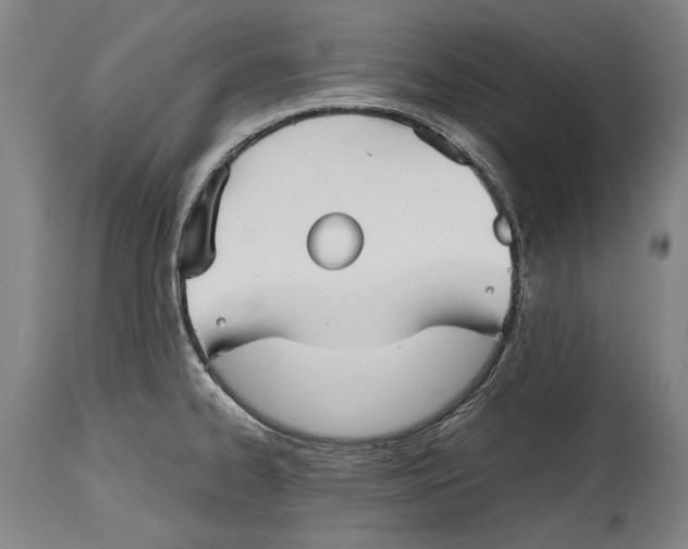 X0000114391334200911061506